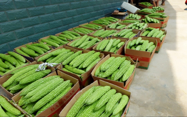 亚洲精品一区二区三区新线路