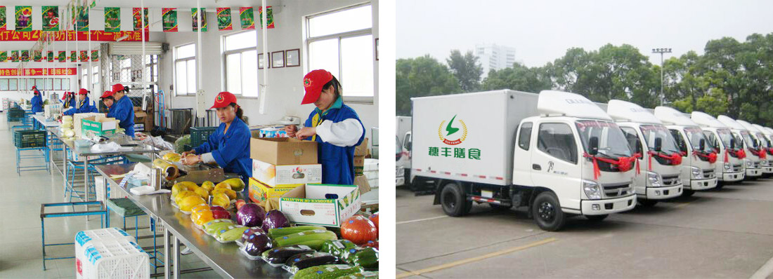 亚洲精品一区二区三区新线路