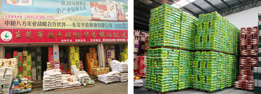 亚洲精品一区二区三区新线路