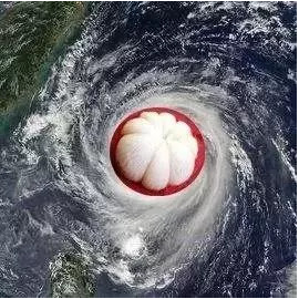 亚洲精品一区二区三区新线路