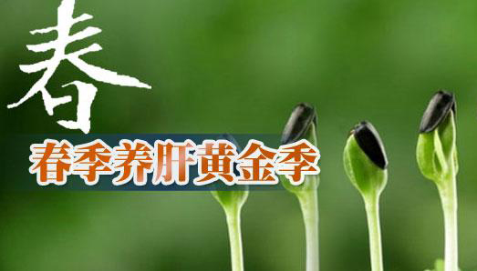 亚洲精品一区二区三区新线路