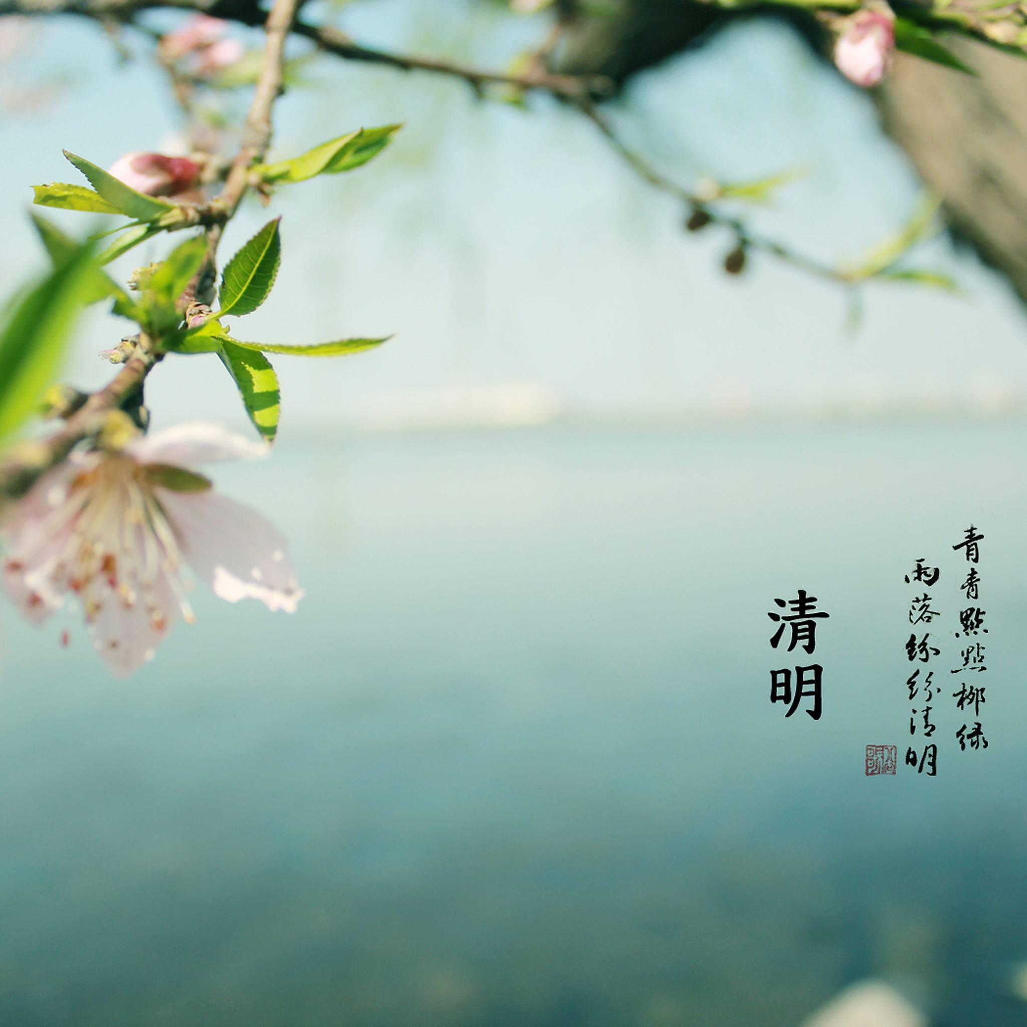 亚洲精品一区二区三区新线路