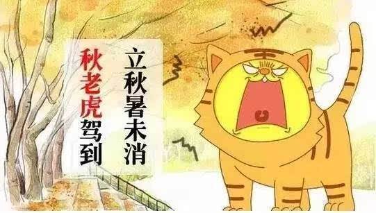 亚洲精品一区二区三区新线路