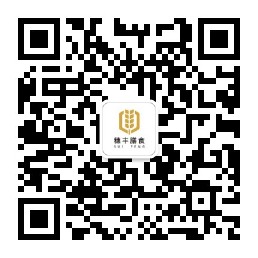 亚洲精品一区二区三区新线路